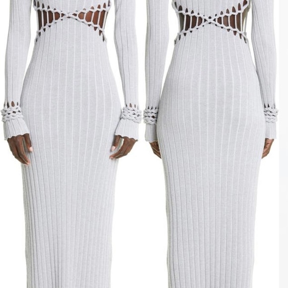 Dion Lee X BRAID REFLECTIVE Dress - Picture 3 of 3